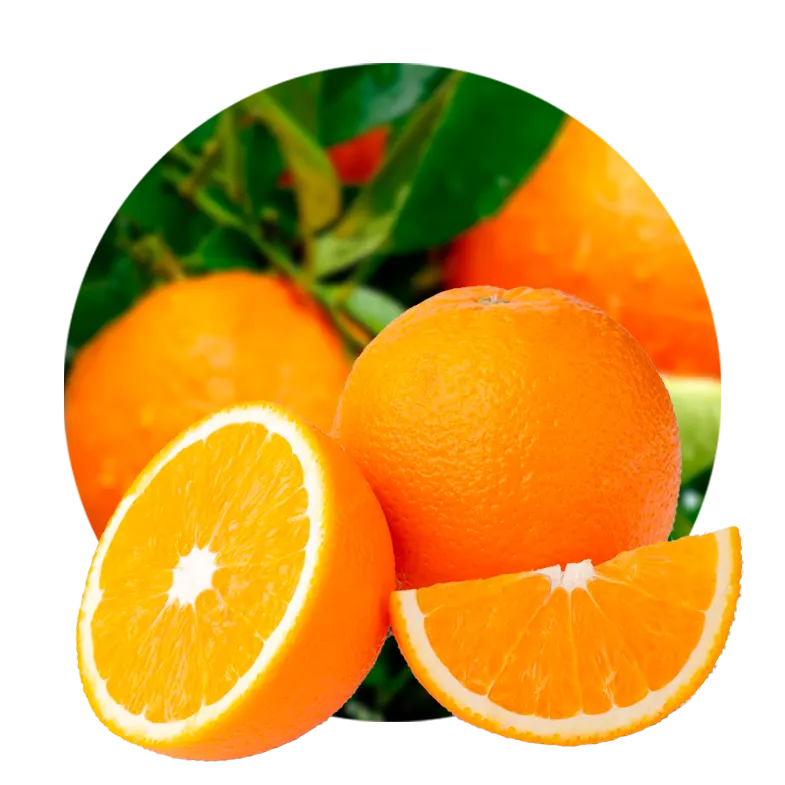 Citrus